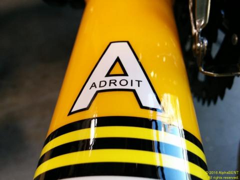 "Adroit" recumbent bike models can use road or mountain-bike width wheels