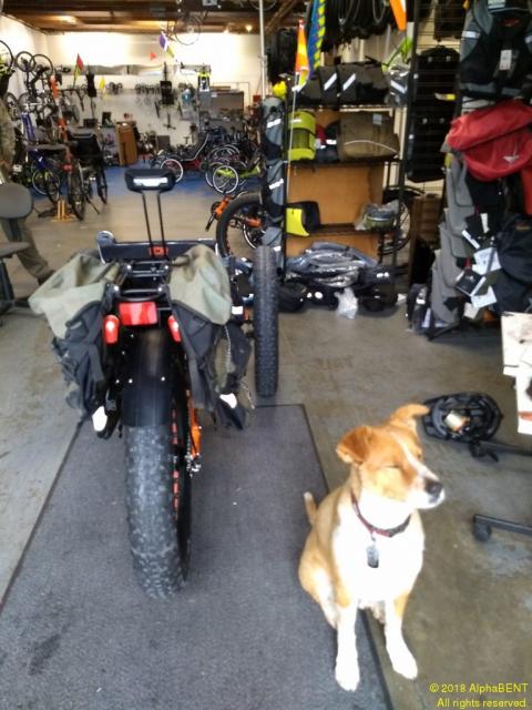 This trike fits through our shop door.
